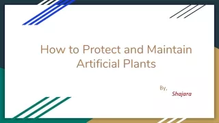 How to Protect and Maintain Artificial Plants