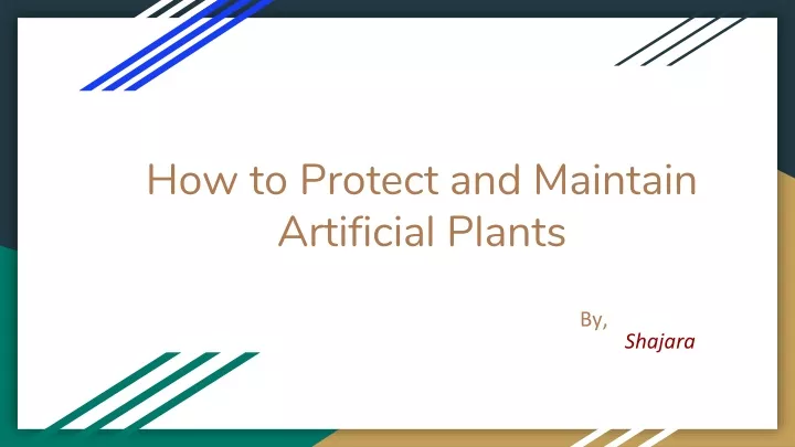 how to protect and maintain artificial plants