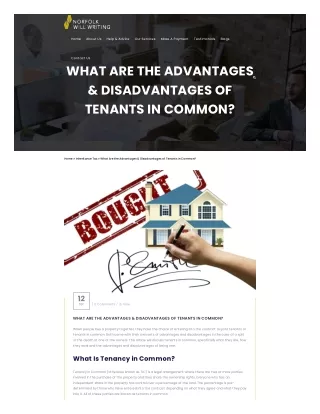 WHAT ARE THE ADVANTAGES & DISADVANTAGES OF TENANTS IN COMMON?