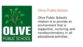 Olive Public School is the Best Place for Education