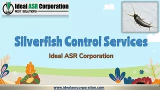 silverfish control services