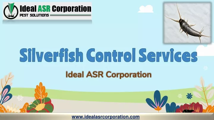 silverfish control services