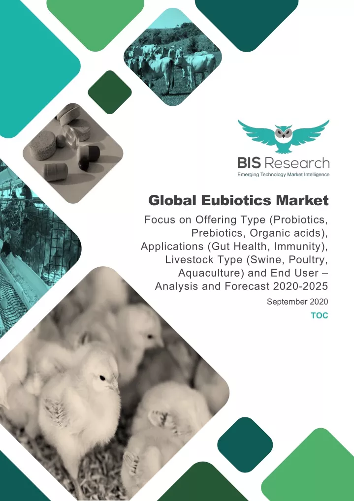 global eubiotics market focus on offering type