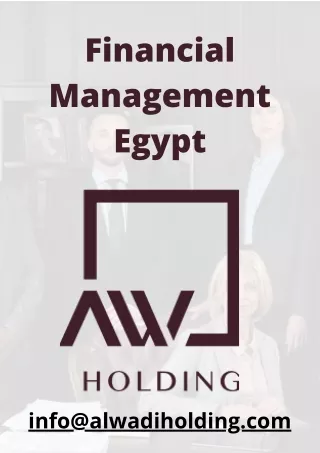 financial management Egypt