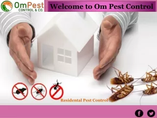 Hire Professional Pest Control Services Odisha