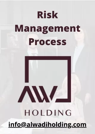 risk management process