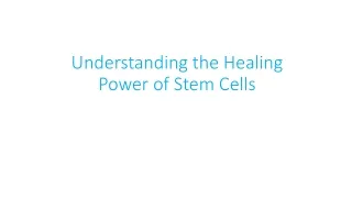 Understanding the Healing Power of Stem Cells
