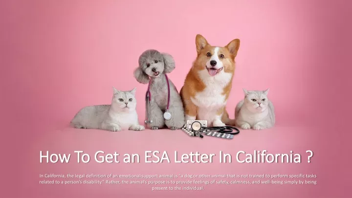 how to get an esa letter in california