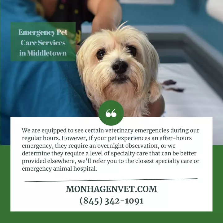 emergency pet care services in middletown