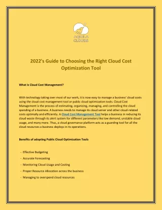 2022's Guide to Choosing the Right Cloud Cost Optimization Tool