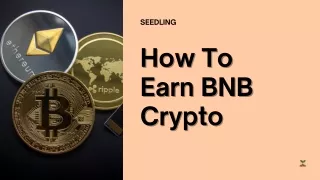 How To Earn BNB Crypto