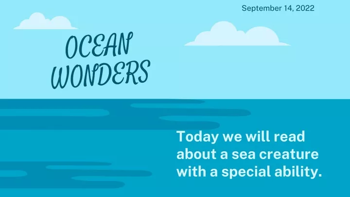 ocean wonders