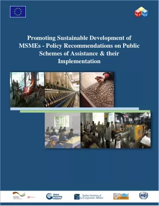 promoting sustainable development of msmes policy