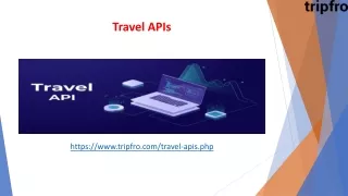 travel apis
