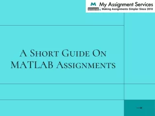 A Short Guide On MATLAB Assignments