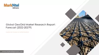 Geogrid Market Insight By Trends, Growth and End User Analysis