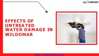 effects of u n t r e a t e d water damage