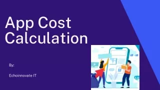 app cost calculation
