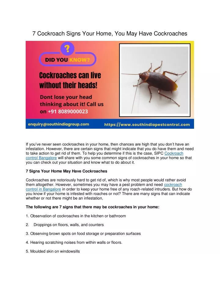 7 cockroach signs your home you may have