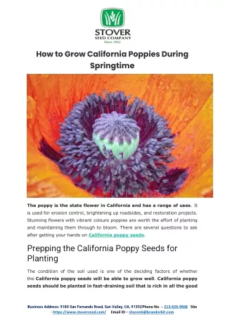 How to Grow California Poppies During Springtime