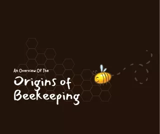 AN OVERVIEW OF THE ORIGINS OF BEEKEEPING