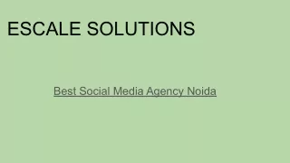 social media agency noida -ESCALE SOLUTIONS