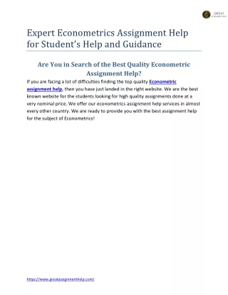 expert econometrics assignment help for student