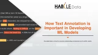 How Text Annotation Plays an Important Role for ML Models