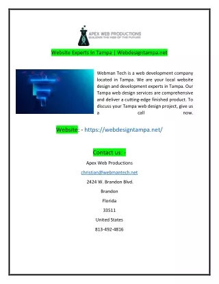 website experts in tampa webdesigntampa net