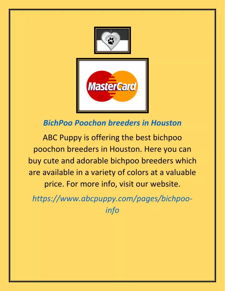 bichpoo poochon breeders in houston