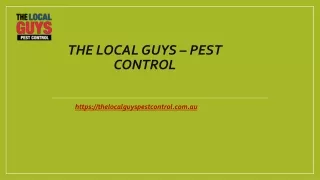 Pest Control Melbourne Eastern Suburbs | Thelocalguyspestcontrol.com.au