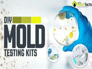Mold Testing Kits