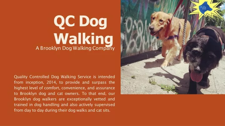 qc dog walking