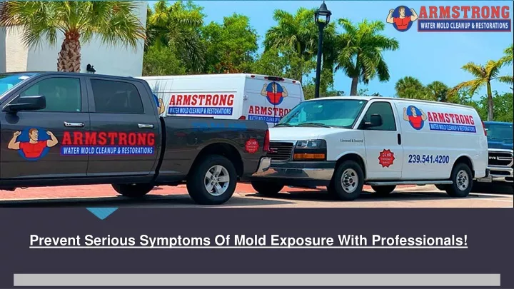 prevent serious symptoms of mold exposure with professionals
