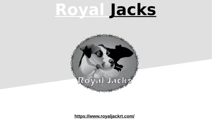 royal jacks