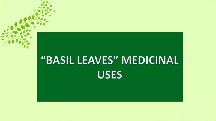 basil leaves medicinal uses