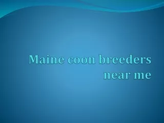 Maine coon breeders near me