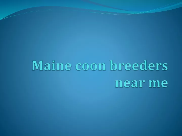 maine coon breeders near me