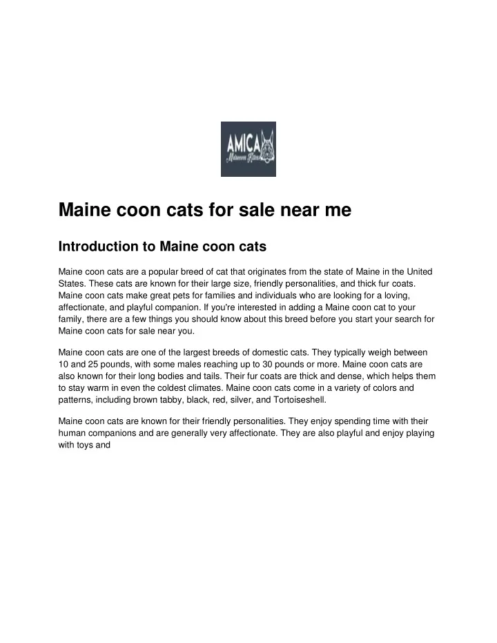 maine coon cats for sale near me