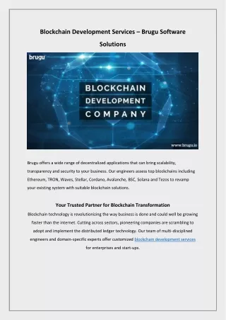 Blockchain Development Company - Brugu Software Solutions