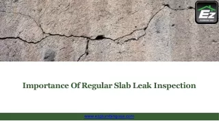 importance of regular slab leak inspection