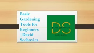 Basic Gardening Tools for Beginners | David Sechovicz