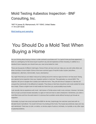 Mold Testing Asbestos Inspection - BNF Consulting, Inc