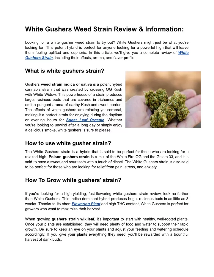 white gushers weed strain review information