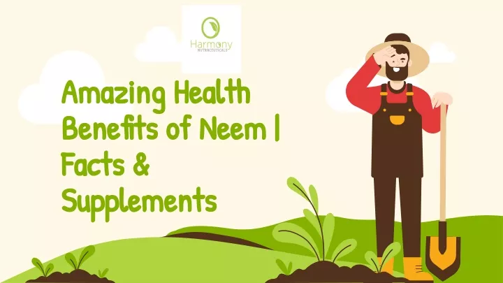 amazing health amazing health benefits of neem