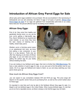 Can I buy Fertilized Parrot Eggs _ African Grey Parrot Eggs for Sale _ Fifth West Avairy