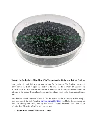 Enhance the Productivity Of the Field With The Application Of Seaweed Extract Fertilizer