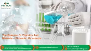 The Essence Of Vitamins And Minerals