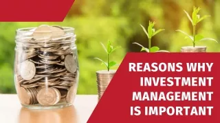 reasons why investment management is important