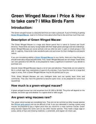 Where to buy Green Wing Macaw - Mika Birds Farm